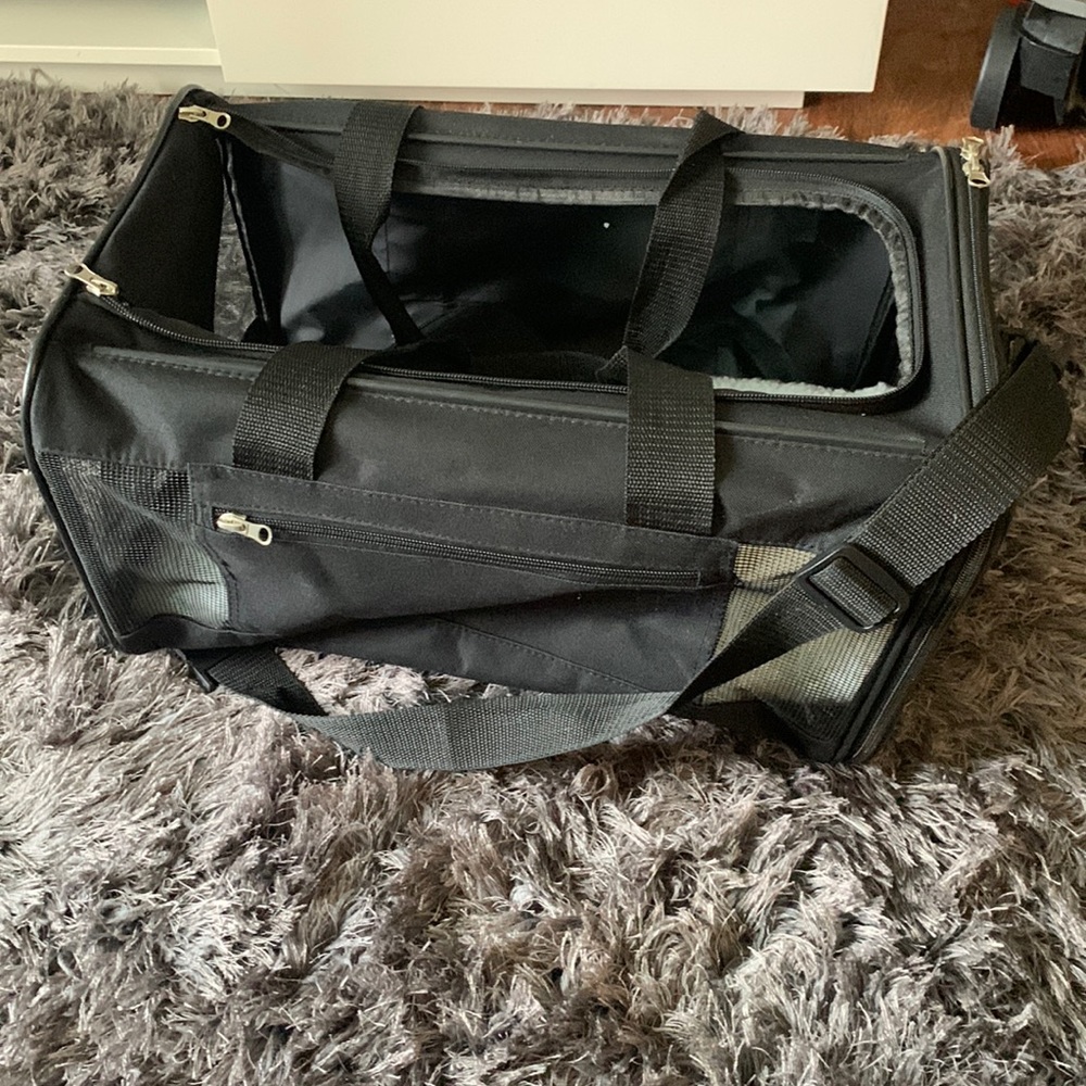 Trusty pup Easy Explorer Carrier